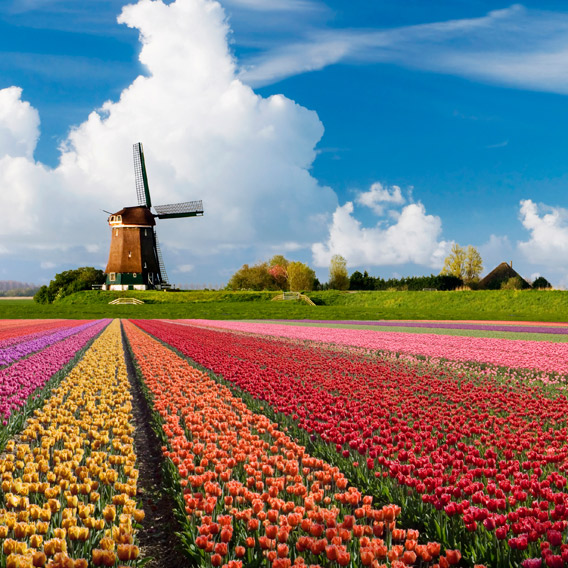 Netherlands